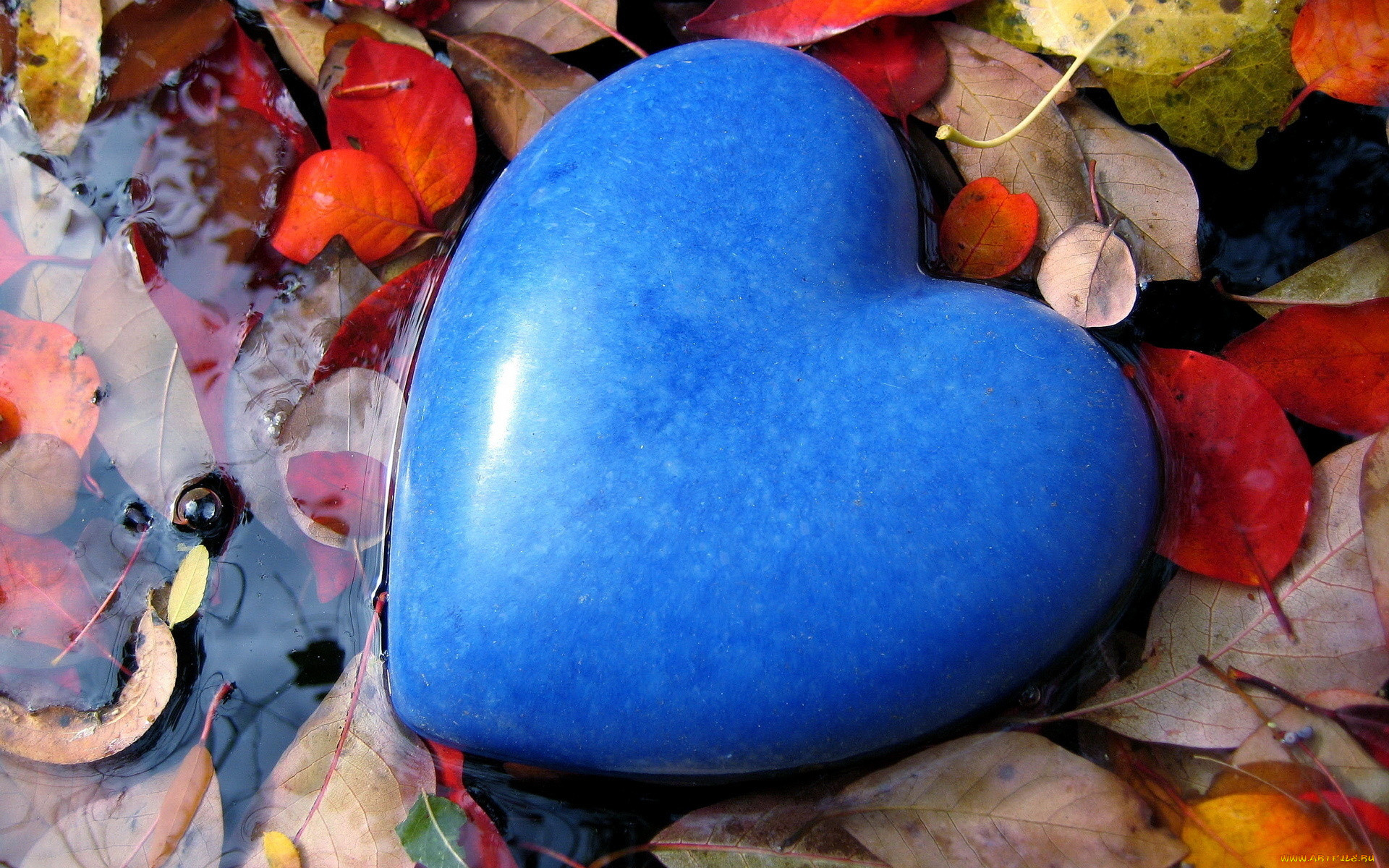 , , , , , , , , 